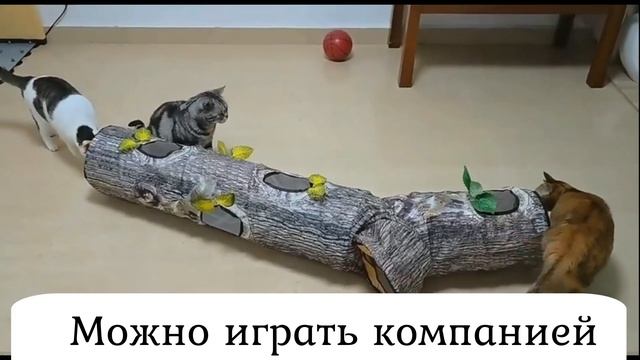 Тоннель для кошек и других животных,шуршащий.Имитация дерева. смотреть онлайн