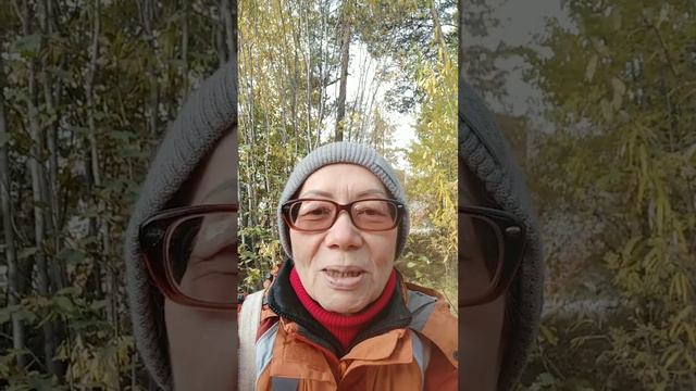 Бери когда дают смотреть онлайн