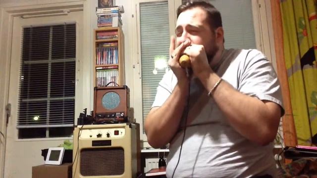 Mark Hummel's old Seydel 1847 Classic in key of Bb. JI tuning. смотреть онлайн