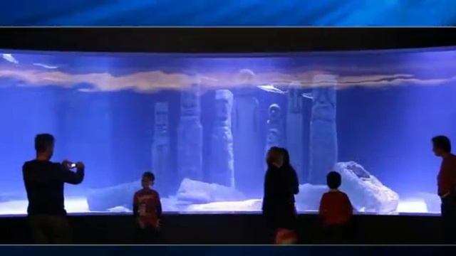 Antalya Aquarium-everything-you-need-to-know-about-visiting-Turkey