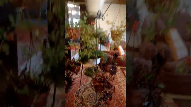 Кованая цветочница! смотреть онлайн