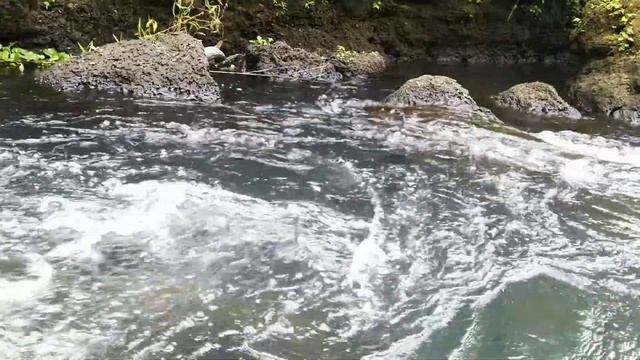 Beautiful Gurgling River Water 으르렁 거리는 강물 - Fit For Insomnia,Study,Relaxing