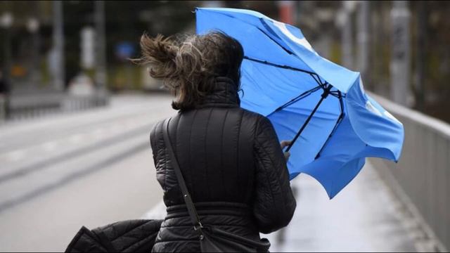 Снегопады и морозы до -31°C вернутся в Казахстан. Какой будет погода с 20 по 23 января 2024 года. смотреть онлайн