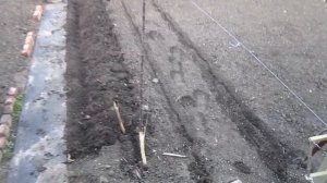 Супер устройство для посадки картофеля