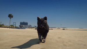 ЧАСТОТЫ РАЦИИ ВСЕХ РАБОТ, ГОСОК И БАНД на MAJESTIC RP GTA 5