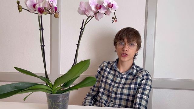 КАК Я УХАЖИВАЮ 🚿ЗА ОРХИДЕЯМИ🪴 смотреть онлайн