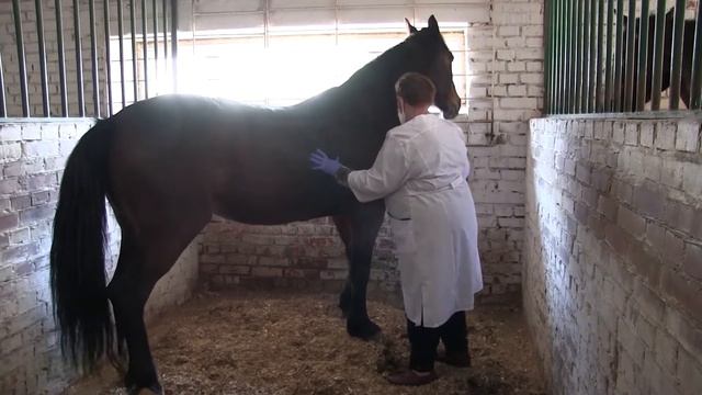 Дежурная часть - Саратов 11 05 2020 смотреть онлайн