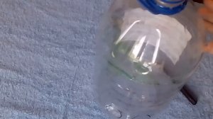 Кормушка для цыплят из пятилитровой  пластиковой бутылки