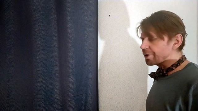 Мужик и жук. "Скучный жук" Олег Андреев исп. Борис Драгилев. Абьюзинг, газлайтинг смотреть онлайн