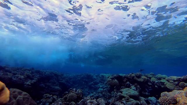 ? Underwater Waves (10 HOURS) Ocean Waves Crashing With Underwater Sounds ?
