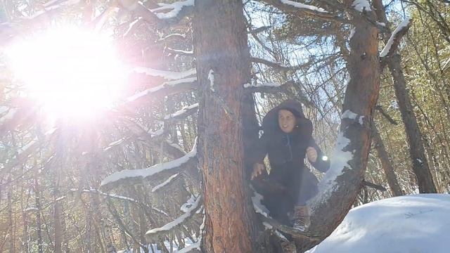 Как дойти до ледника Цейского? смотреть онлайн