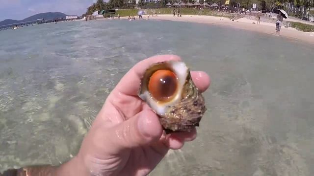 Впечатления о курорте Санья и туристах