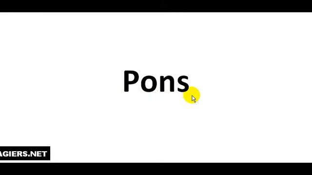 Miten lausutaan ranskalainen nimi # Pons смотреть онлайн