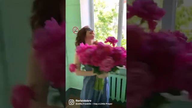 Флористика для всех смотреть онлайн