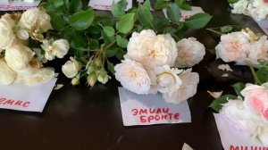 Обзор сортов роз в БЕЛОЙ гамме? питомник роз  maryroses?