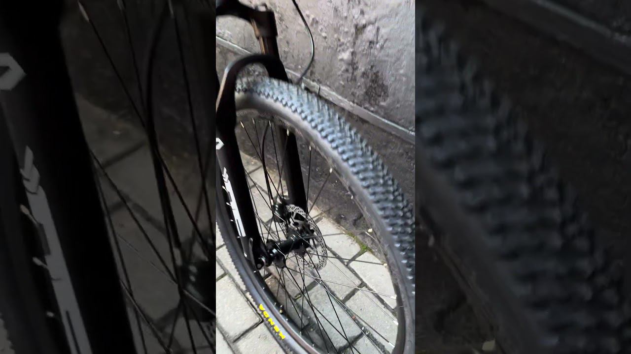 Женский горный велосипед Hagen Q9 (Queen 9) short2 смотреть онлайн