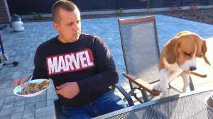 24 ЧАСА БАТЯ ГОВОРИТ "ДА"  ШЕРЛОКУ . БРОС ШОУ ПЕТ