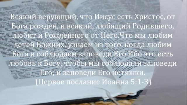 Что можно есть христианам?Можно ли есть свинину?Важно ли Богу что мы едим ? смотреть онлайн