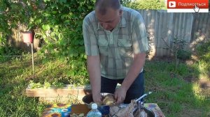 Индюшиные крылья на мангале. Крылья индейки с картошкой.