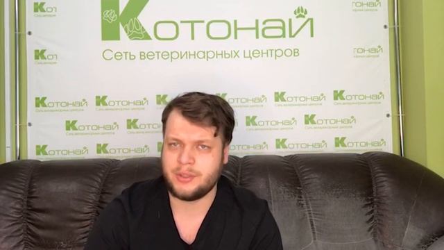 Паразиты крови у кошек. Боррелиоз смотреть онлайн