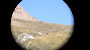Kern Pizar 6x24 AR | Binoculars | Fernglas | бинокль