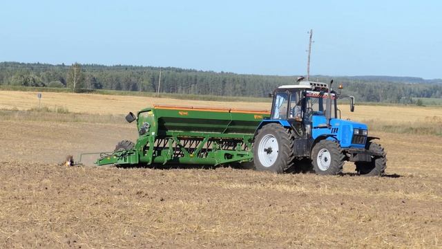 МТЗ 1221.3 и AMAZONE D9 6000-TC на севе озимой пшеницы. смотреть онлайн