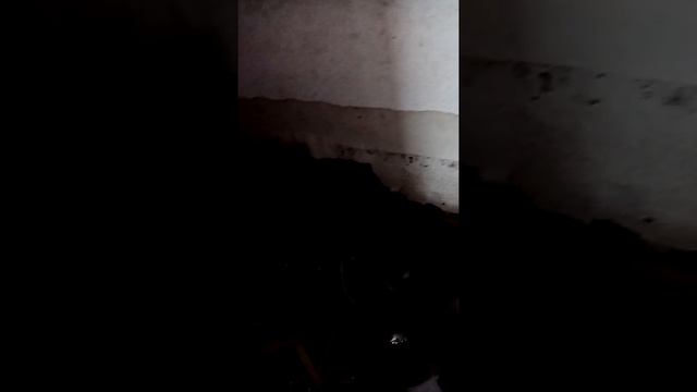 Потоп в Нижнеудинске смотреть онлайн