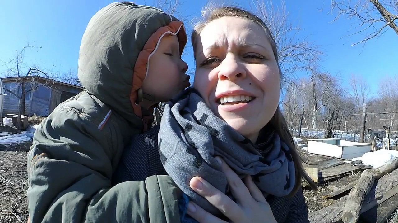 Козлёнок, саженцы, тепло! Зиме конец, весне дорогу! Вытаскиваем укоренённые черенки из-под снега. смотреть онлайн