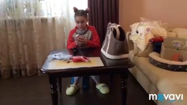 Покупки для шпица🐶Не гламурная сумка👜🐾 смотреть онлайн
