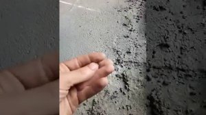 Сарай на 10 голов для свиней. Подготовка обустройство сарая.