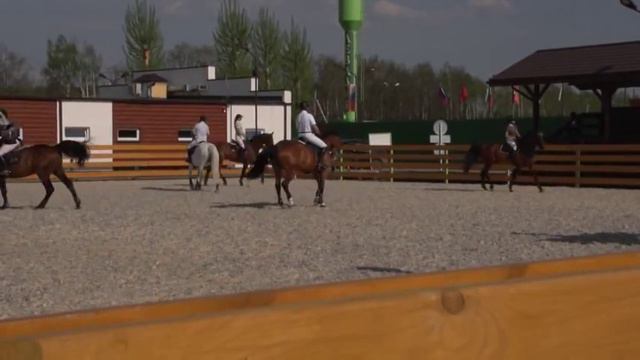Конный спорт: выездка видео смотреть онлайн
