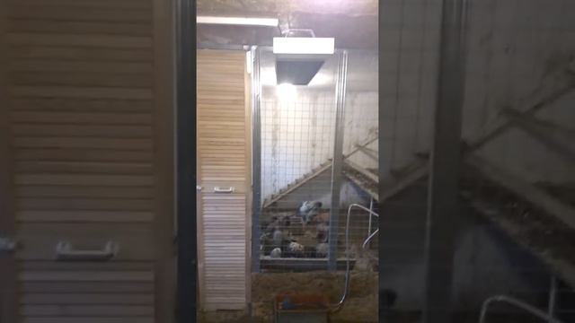 Строим Сами