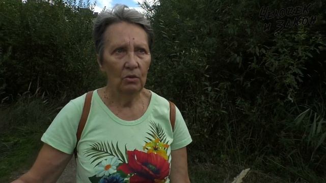 Детскосельский парк снимет социальную напряжённость: 1100 подписей Беглову смотреть онлайн