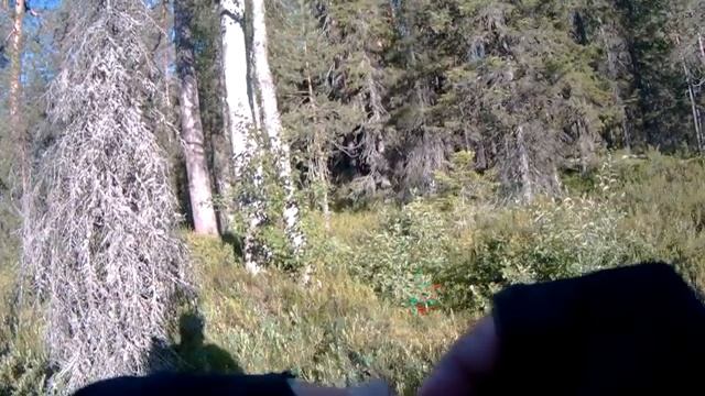 Карелия. Летняя рыбалка на красивом таежном озере. смотреть онлайн