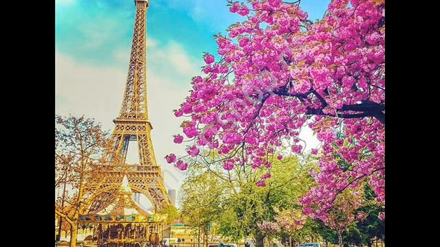 Golden Accordeon Hits Moonlight Shadow смотреть онлайн