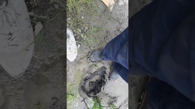 1 часть ловля ужа(2)