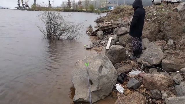 Холодное летняя рыбалка. Рыба есть но не по нашу честь. Рыбалка на реке. Амур. смотреть онлайн