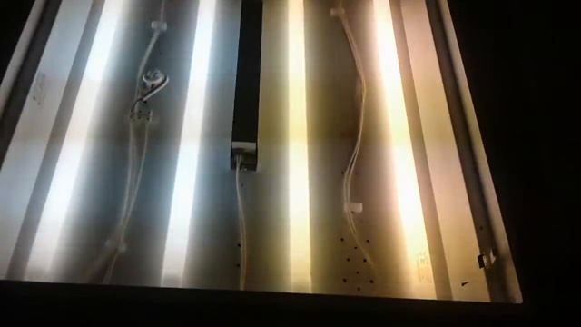 Osram 2× L18W/765 и L18W/840,640