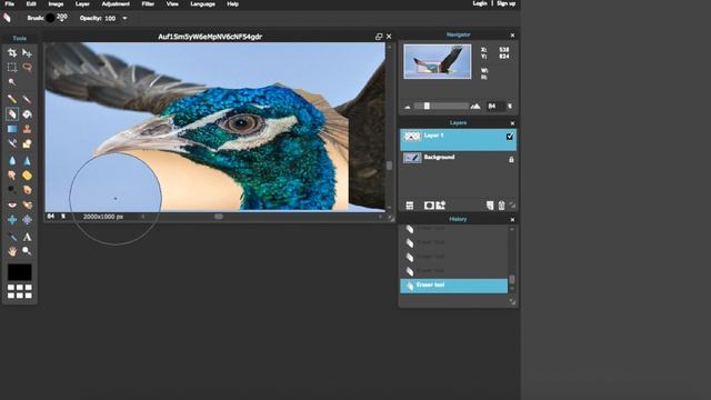 How to Mix Animals On Photoshop смотреть онлайн