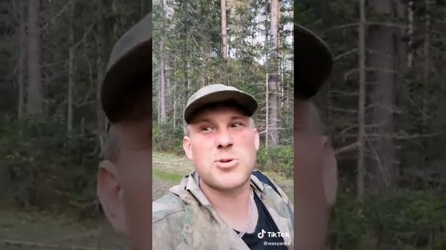 Перед рыбалкой грибочков поел смотреть онлайн