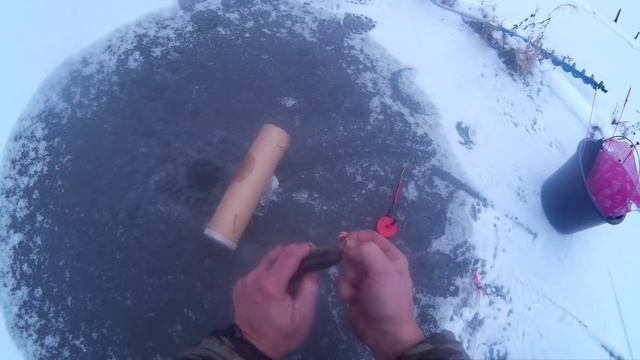 Зимняя рыбалка . Ловим ручейную форель со льда. смотреть онлайн