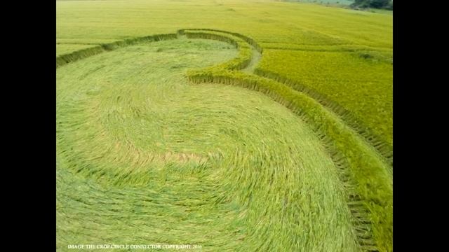 Рисунок на поле Англия Уилтшир 15 июля 16 смотреть онлайн
