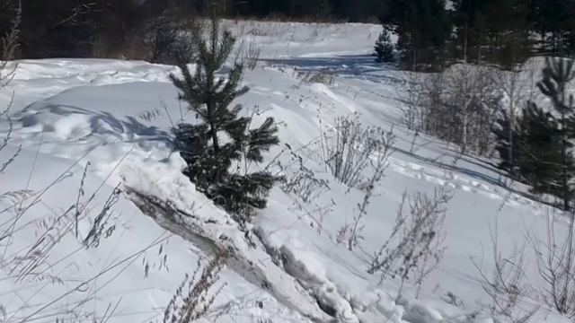 Обзор вездехода 