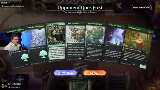 ? BEST GREEN COMMANDER ? Vorinclex Historic Brawl смотреть онлайн