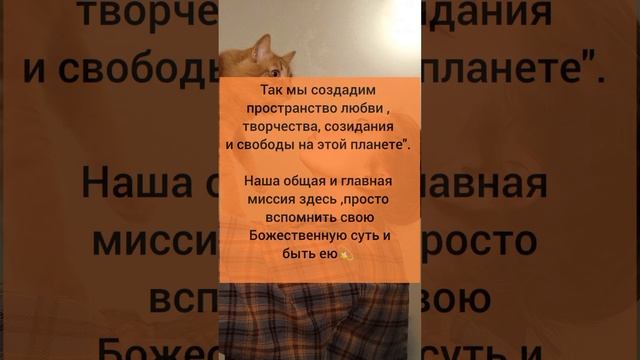 Твоя суть? смотреть онлайн