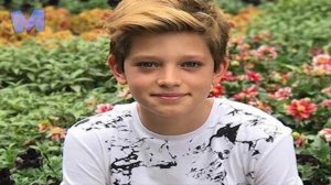 Для чего мужчинам яички