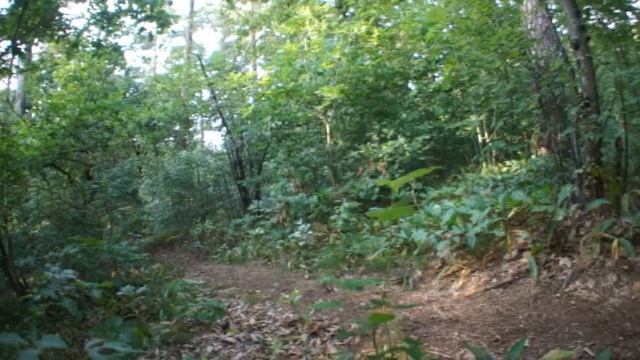 Светлый смотреть онлайн