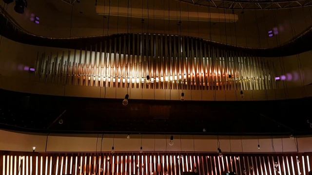 Царь-Орган появился в Зарядье смотреть онлайн