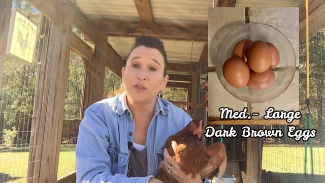 I Love ISA Browns! смотреть онлайн