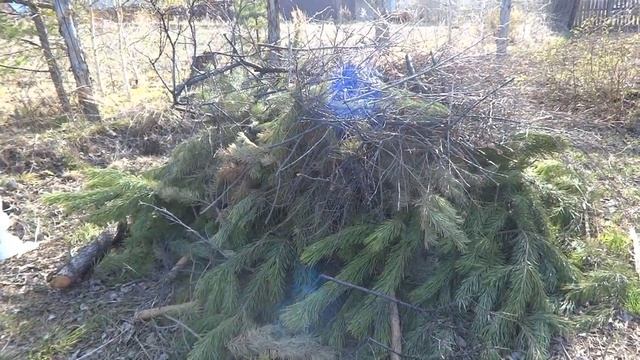 Обзор моего участка в начале мая.//Огород в Сибири смотреть онлайн